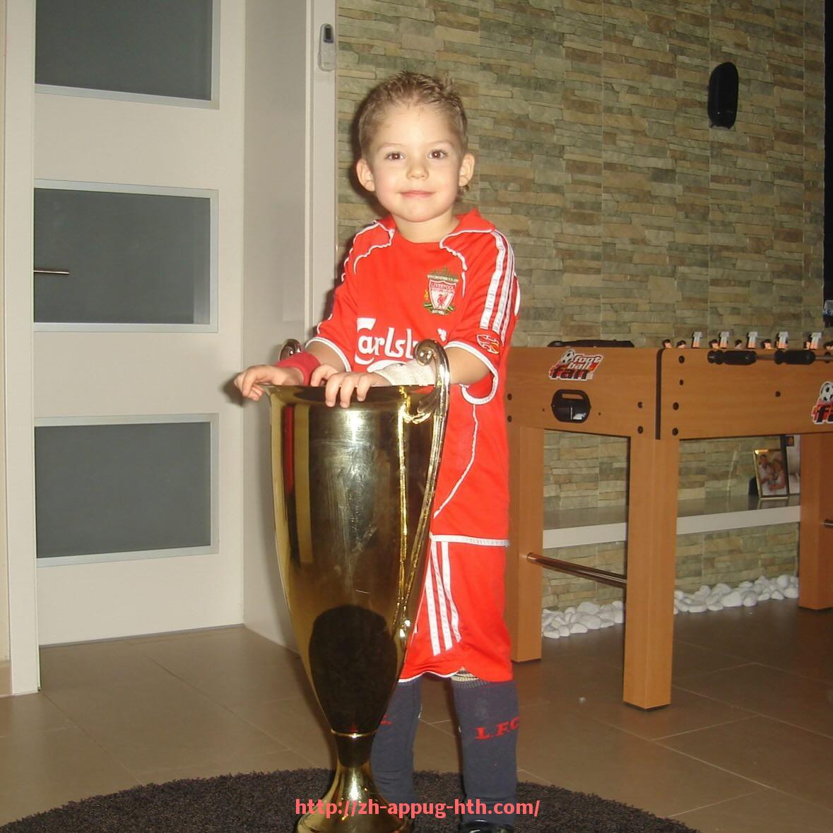 HTH华体会APP下载-世俱杯场馆内语音导航系统使用方法与语种介绍