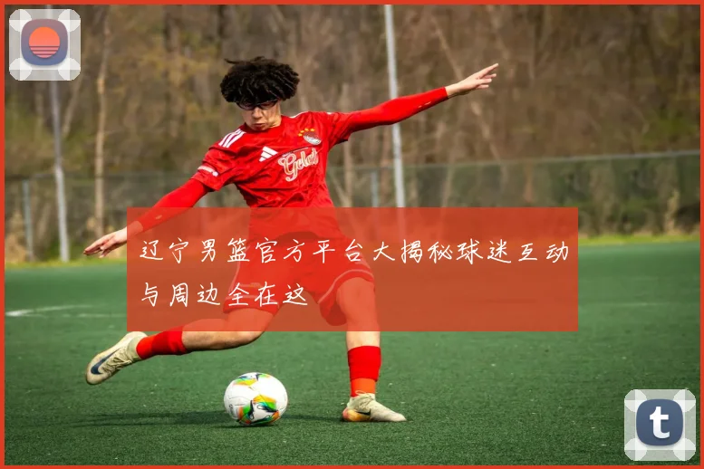 辽宁男篮官方平台大揭秘球迷互动与周边全在这